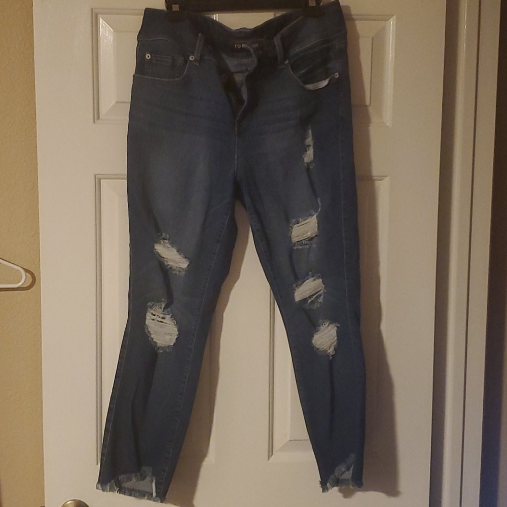 Torrid distressed jegging